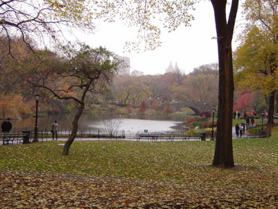 DSC00035